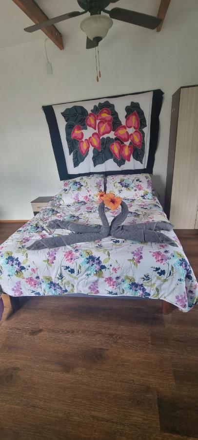 Hostal Henua Roa 앙가로아 외부 사진